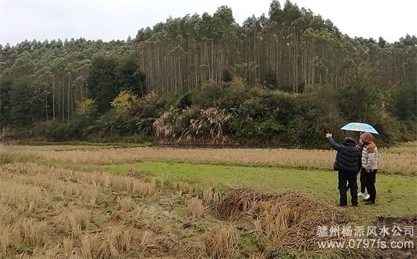 江北区陈老师带着爱徒寻龙点穴