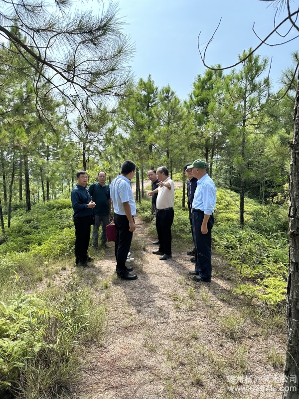 江北区学杨公风水跟陈荣昌老师实在